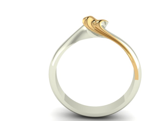bicouler gouden ring 3d design